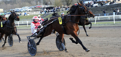 Aarhus fredag - Første afkomssejr til Chapter Seven-sønnen Classichap