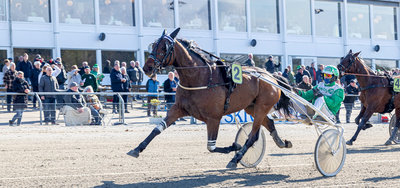 Tipsanalyser Bet25 & baneprogrammet - ALLE LØB - Lunden søndag 15. marts