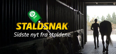 STALDSNAK med Carsten Rabjerg - Lunden søndag 15. marts