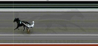 SVERIGE - Overlegen sejr til Panamera Racing-opdrættede Kong Venience på Åby