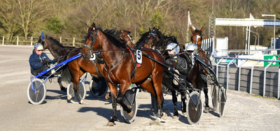 AUKTION - Sælg din hest på Musketerdagen med masser af publikum på plads
