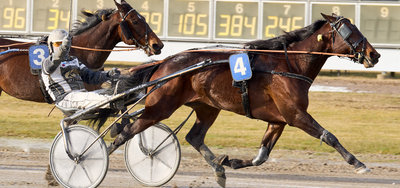 Tipsanalyser til alle løbene - SKIVE TRAV lørdag 4. april