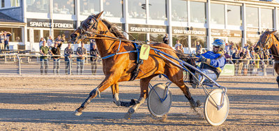 AUKTION PÅ MUSKETERDAGEN - deadline for tilmelding er i dag