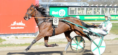Tipsanalyser til alle løbene - AARHUS fredag 10. april