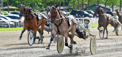 Tipsanalyser til alle løbene - AALBORG torsdag 16. april