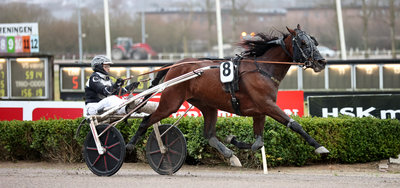 Tipsanalyser til alle løbene - AARHUS lørdag 18. april