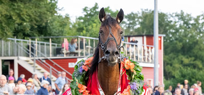 Tipsanalyser til alle løbene - BORNHOLM søndag 19. april