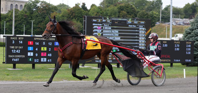 SVERIGE - Derbyvinderen Get A Wish i comeback i Sverige på lørdag