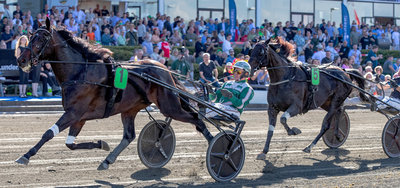 COPENHAGEN CUP - Første wildcard er uddelt til ICEBREAKER