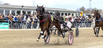 MUSKETERDAG - Afbud fra Team Hagoort/Bakker til Skives storløbsdag