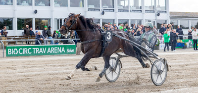 Bet25 Live - Nu begynder en vild væddeløbsweekend!