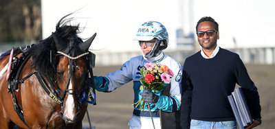 SVERIGE: Danskopdrættede Wise Guy videre til finalen i Kongepokalen