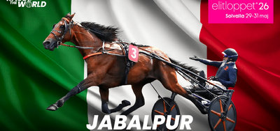 ELITLOPPET - Jabalpur blev den ottende hest i årets udgave af Elitloppet