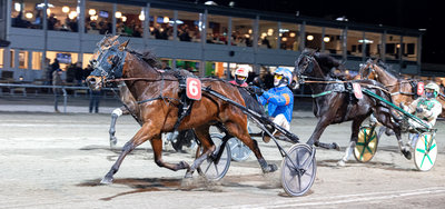AUKTION - Rolf Jørgensens Daniel Autriche solgt for 75.000 SEK på Travera