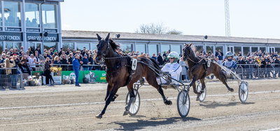 MUSKETERDAG - Bet25 Live klar med en "Aftermovie" med det bedste fra dagen