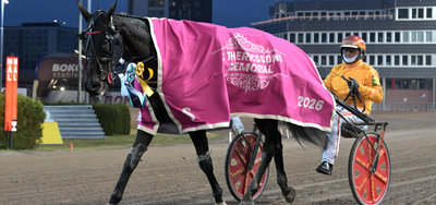ELITLOPPET - Diva Ek vandt Finlandia Ajo - Og en lyserød billet til Elitloppet
