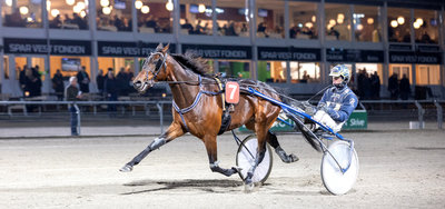 STARTLISTER - Skive klar til mandagsløb med masser af heste til start