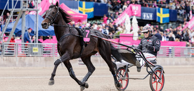 ELITLOPPET - Tre heste ind - Én hest ud - I alt 14 heste klar