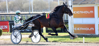 STARTLISTER - Aalborg med V65 onsdag - Extreme vs. Just Hans i hurtigklassen