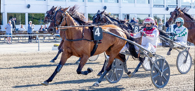 Tipsanalyser til alle trav/montéløbene - AALBORG søndag 24. maj