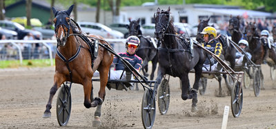 POINTBEREGNING - Jydsk 4-årings Grand Prix & Hoppe Grand Prix