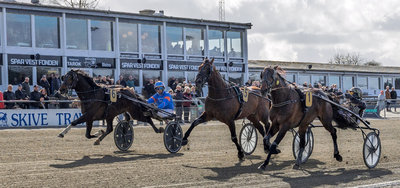 GRAND CIRCLE 5-ÅRS - Kun 25 heste totalt meldt til Pointberegning