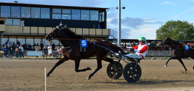 STARTLISTER - Nykøbing Falster Travbane med V65-spil og 8 løb på onsdag