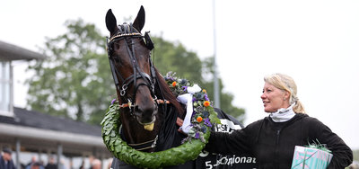 GC5HV - Bent Svendsen fik revanche med Kalles Krisbe Notz