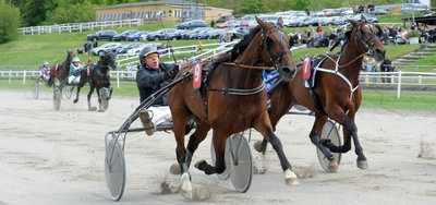 Tipsanalyser til alle trav/montéløbene - AARHUS lørdag 13. juni