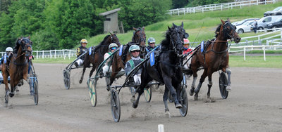 Tipsanalyser til alle løbene - AARHUS Grand Prix-dag - Lørdag 20. juni