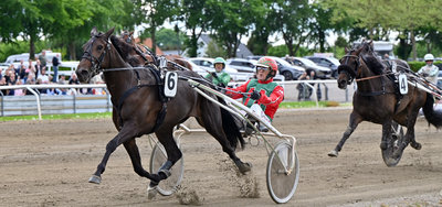 Tipsanalyser til alle løbene - SKIVE V65 onsdag 24. juni