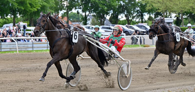 SKIVE GRAND CIRCLE - Hvem kører Steen Juuls heste?
