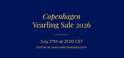 AUKTION - Copenhagen Yearling Sale 2026 nærmer sig