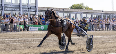 POINTBEREGNING - Jydsk 3-årings Grand Prix