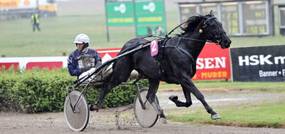 STARTLISTER - Aalborg onsdag med V65 og masser af heste til start