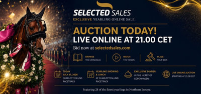 AUKTION - Masser af lækre åringer til salg på SelectedSales.com i aften