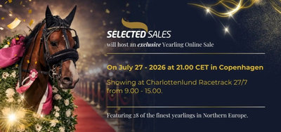 AUKTION - Copenhagen Yearling Sale 2026 - Hvad skete der?