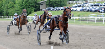 3-ÅRINGS GRAND PRIX - Disse heste har kvalificeret sig til finalerne + Startfelterne
