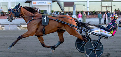 POINTBEREGNING - Dansk Trav Derby & Dansk Hoppe Derby