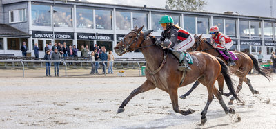 STARTLISTER - Odense fredag med DM i Monté som topnummeret