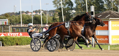 TIPSANALYSER til alle løbene - AALBORG torsdag 13. august