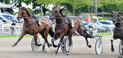 E-ÅRGANGEN: Emoji misser Derbyweekenden - E Type Cash også skadet