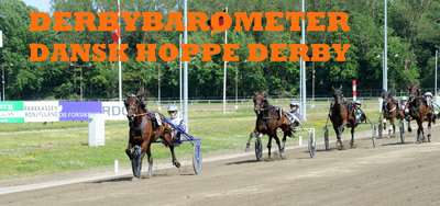 DERBYBAROMETER - Dansk Hoppe Derby 15. august 2026