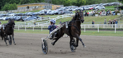TIPSANALYSER til alle løbene - AARHUS lørdag - 3-års Grand Prixer