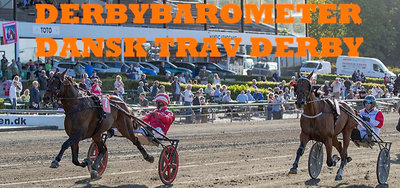 DERBYBAROMETER - Dansk Trav Derby - 16. august