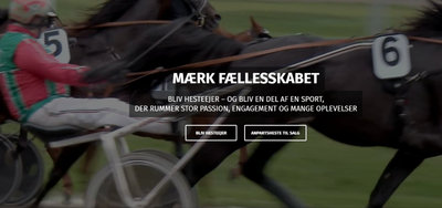 NYHEDSBREV - Dansk Travhesteejerforening 23. august 2026