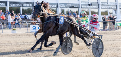 STARTLISTER - Aarhus med V65-løb på menuen på onsdag