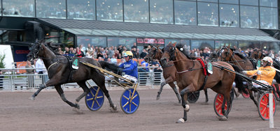 VM YONKERS - De to sidste heste fra Europa er udtaget
