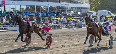 TIPSANALYSER til alle løbene - LUNDEN DERBYSØNDAG 30. august