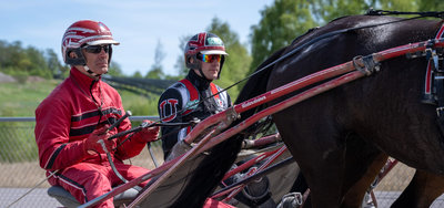 DANSK TRAV DERBY - Team Untersteiner i favorittens rolle med Lazy Dust
